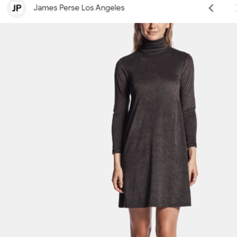 James Perse Velvet Turtleneck Dress